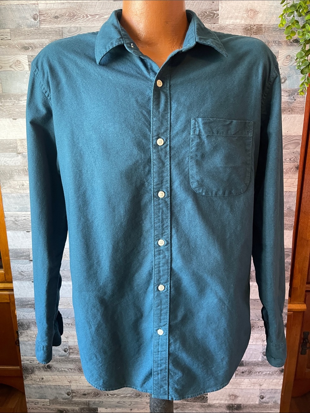 American Eagle Outfitters Teal Long-Sleeve Button-Down Shirt